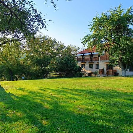 Pensiunea Agroturistica Ica Valea Drăganului Exterior foto