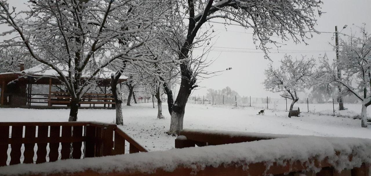 Pensiunea Agroturistica Ica Valea Drăganului Exterior foto