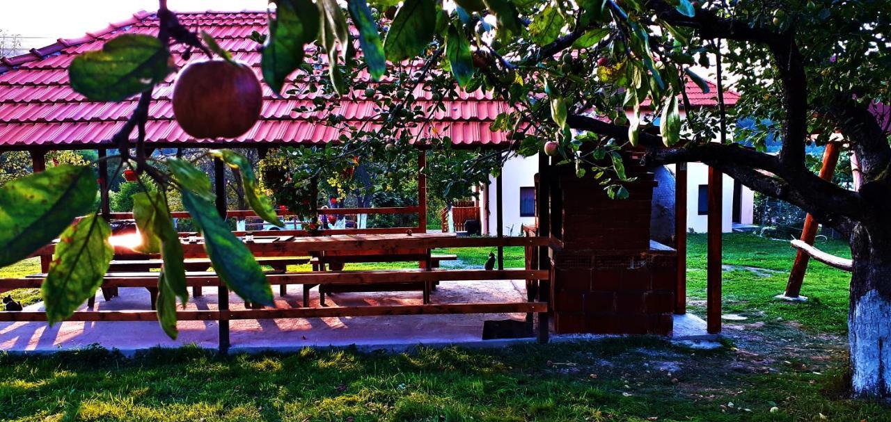 Pensiunea Agroturistica Ica Valea Drăganului Exterior foto