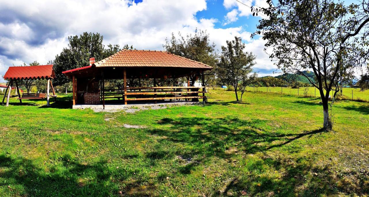 Pensiunea Agroturistica Ica Valea Drăganului Exterior foto
