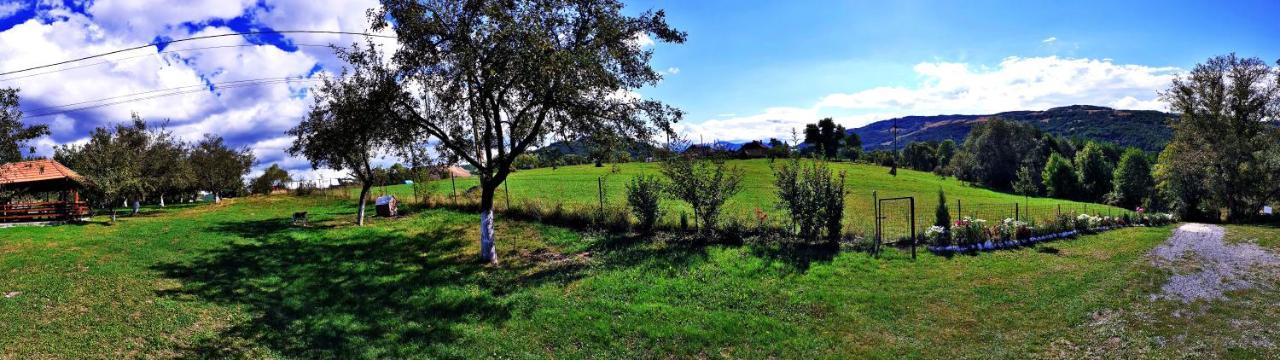Pensiunea Agroturistica Ica Valea Drăganului Exterior foto