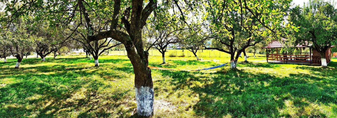 Pensiunea Agroturistica Ica Valea Drăganului Exterior foto