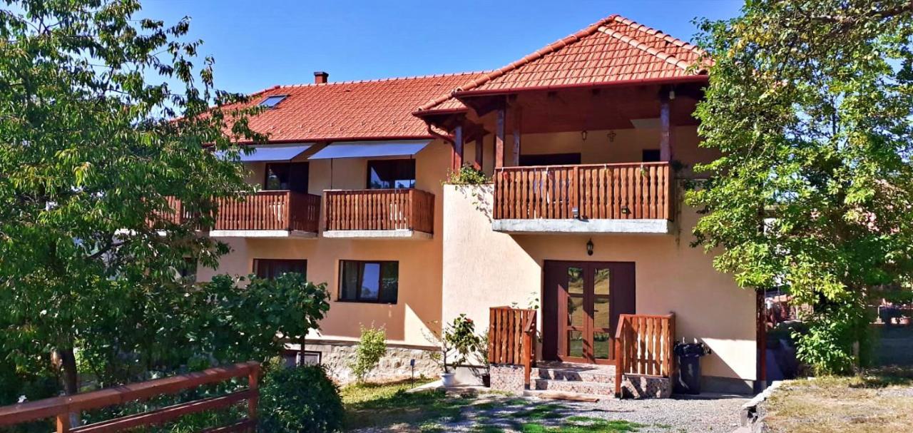 Pensiunea Agroturistica Ica Valea Drăganului Exterior foto