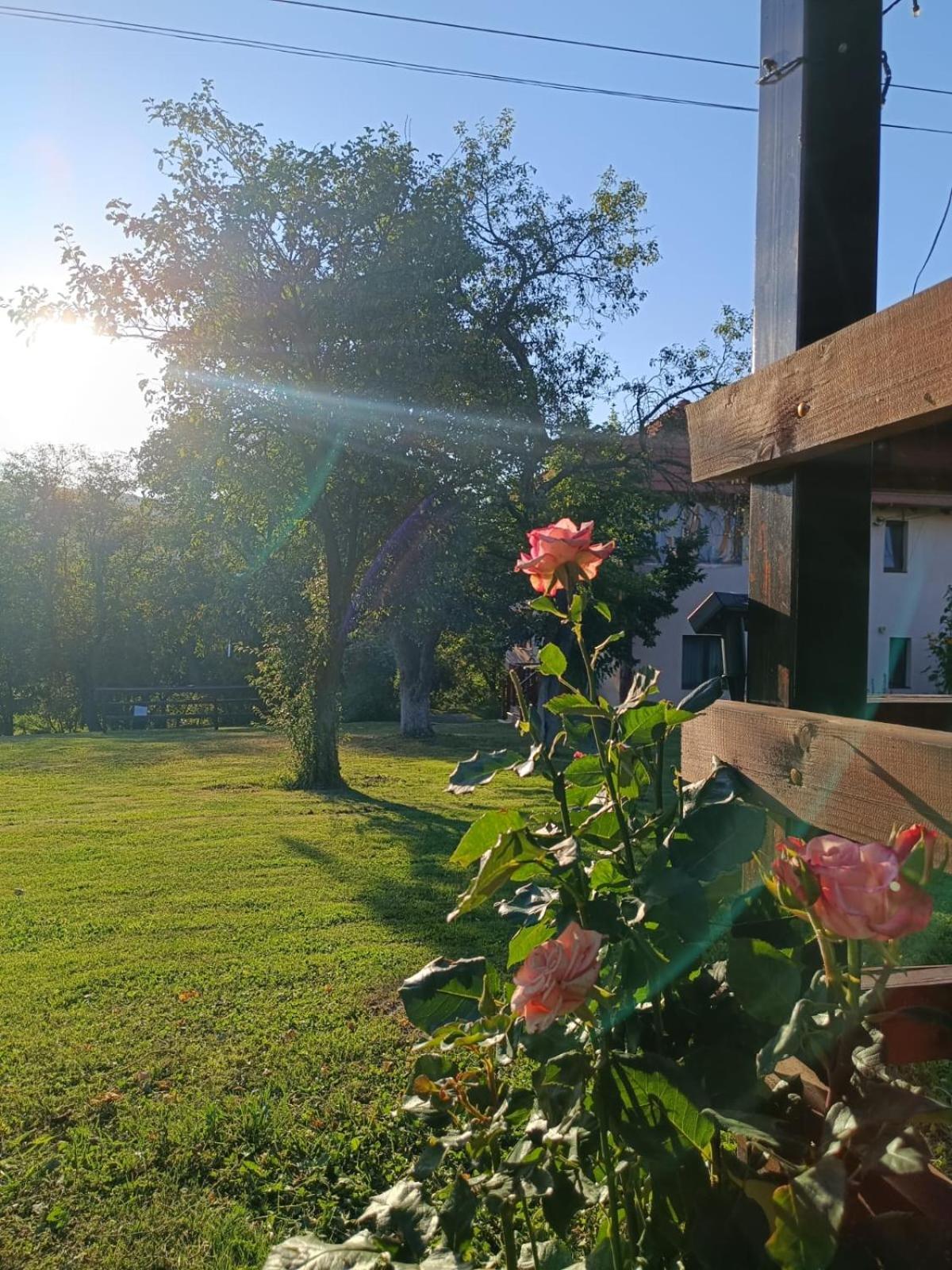 Pensiunea Agroturistica Ica Valea Drăganului Exterior foto