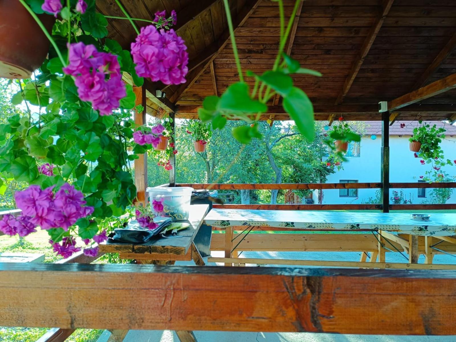 Pensiunea Agroturistica Ica Valea Drăganului Exterior foto
