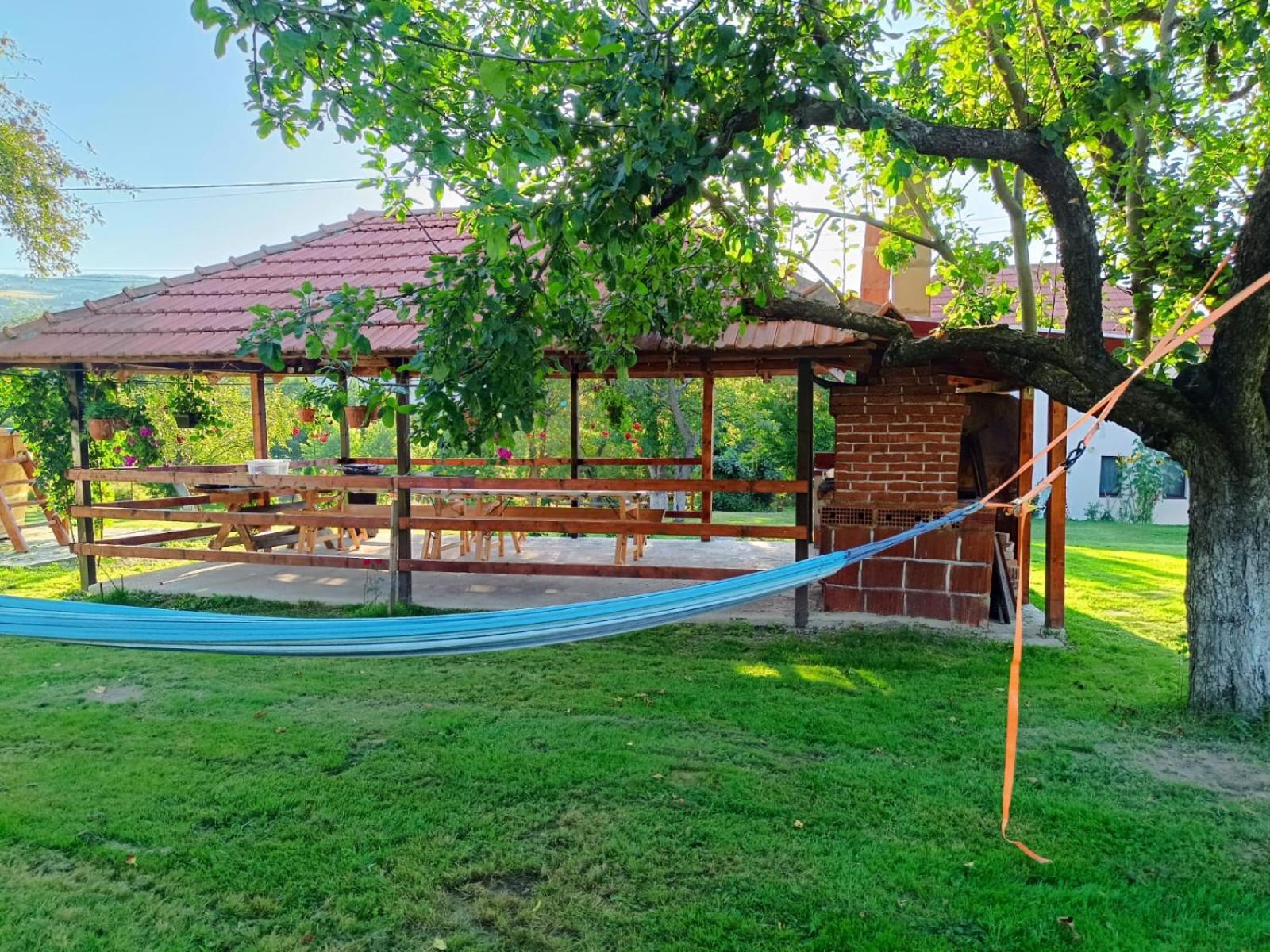 Pensiunea Agroturistica Ica Valea Drăganului Exterior foto