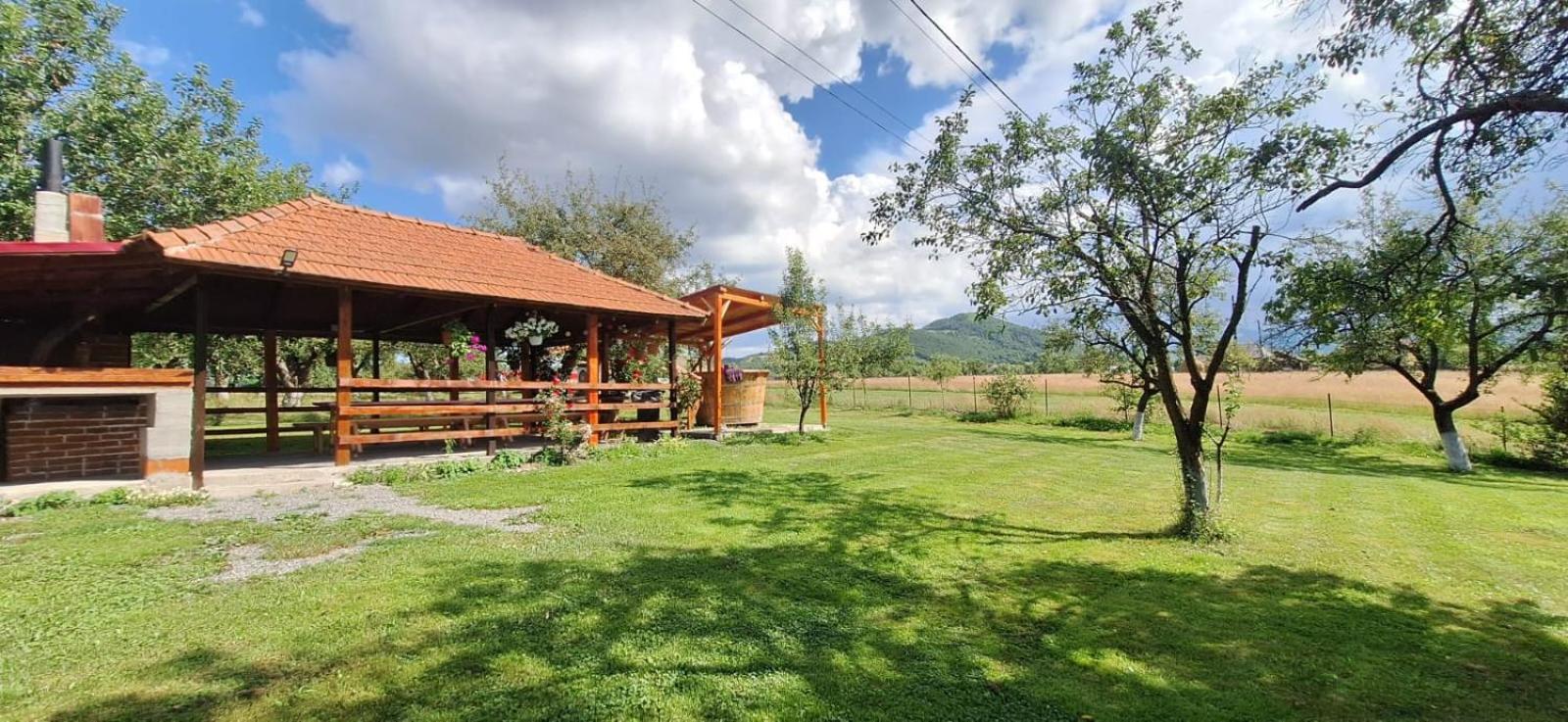 Pensiunea Agroturistica Ica Valea Drăganului Exterior foto