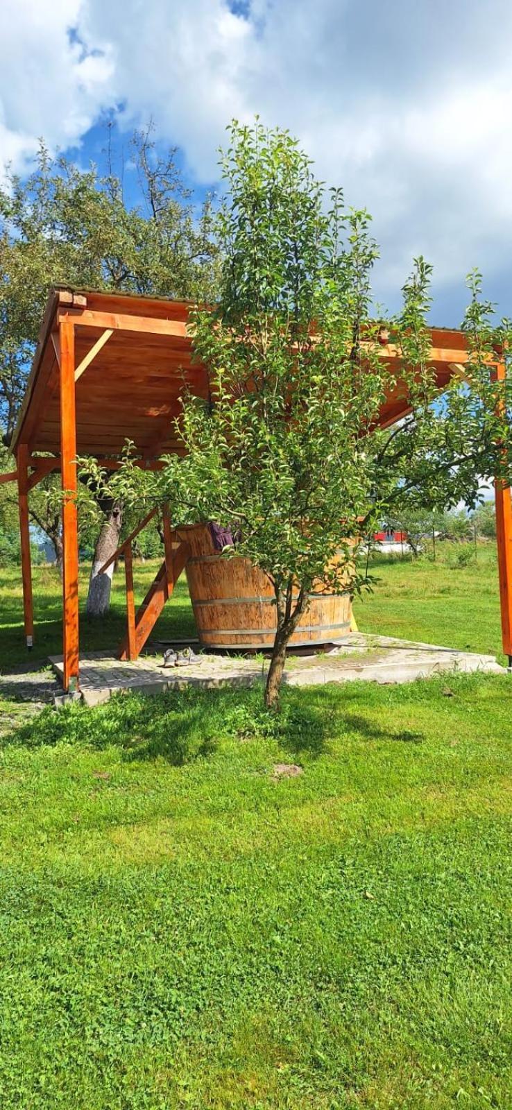 Pensiunea Agroturistica Ica Valea Drăganului Exterior foto