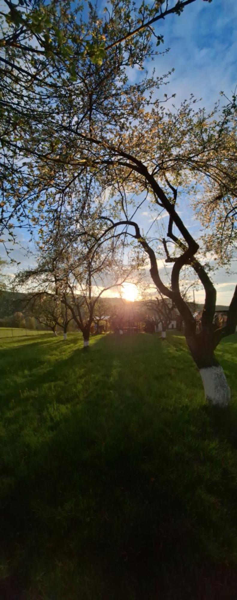 Pensiunea Agroturistica Ica Valea Drăganului Exterior foto