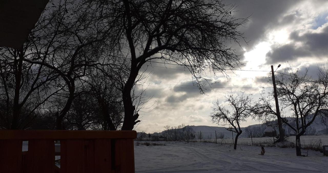 Pensiunea Agroturistica Ica Valea Drăganului Exterior foto